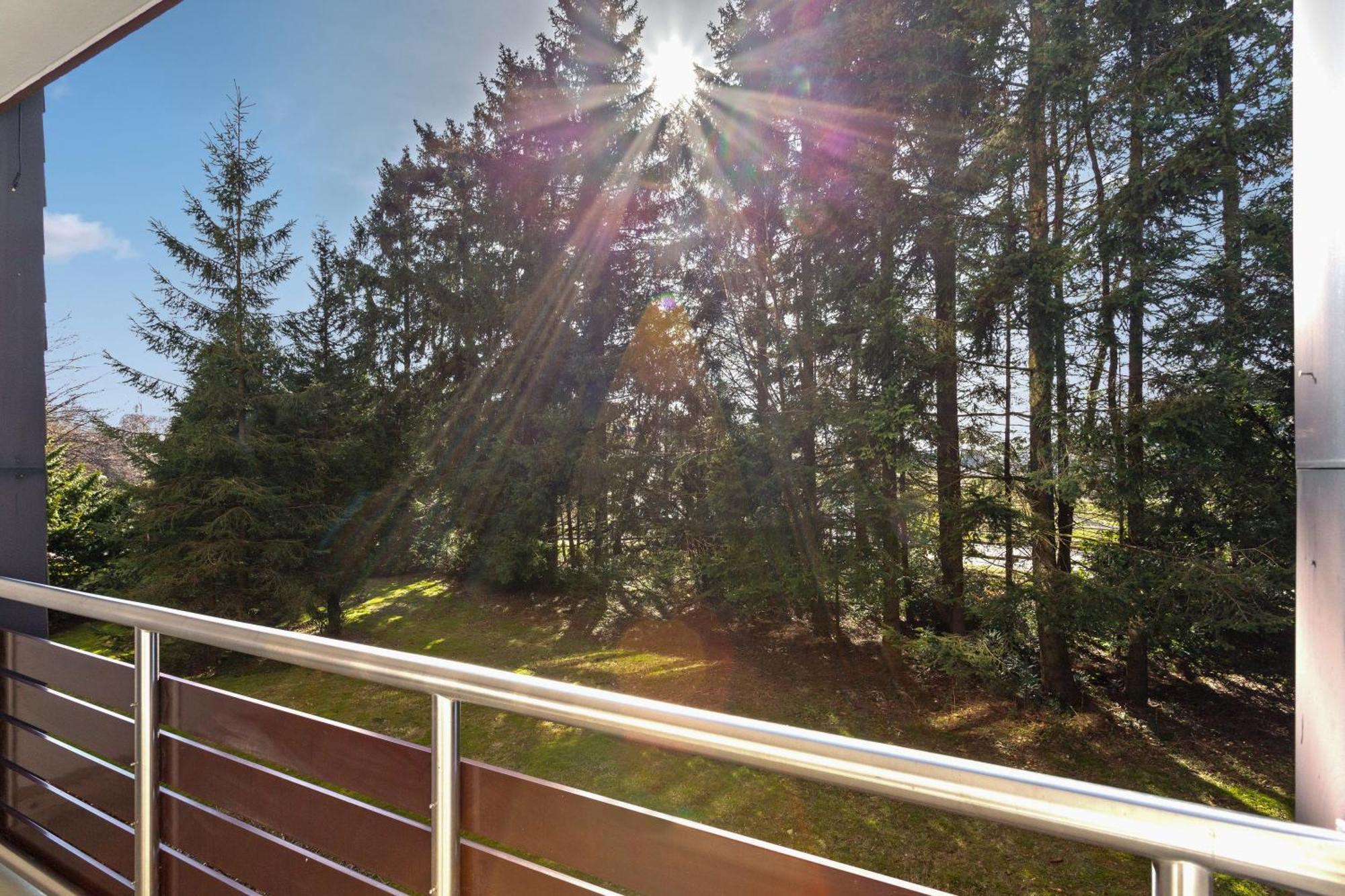 Hillside Zentrale Lage Bikepark & Piste Lägenhet Winterberg Exteriör bild